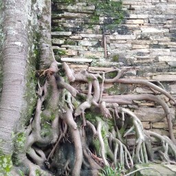 Drops do Dia 2.1.2021