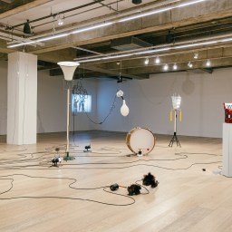 O belo no ordinário