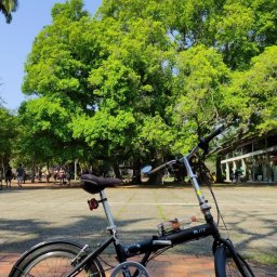 Vida Pixel – 12.9.2021