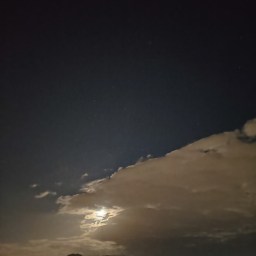 Vida Pixel: 17.4.2022