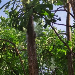 Vida Pixel – 7.12.2022