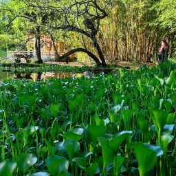 Vida Pixel – 25.11.2023