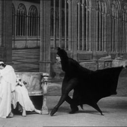 Musgos, muco e mutações