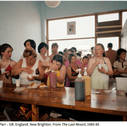 [STATUS CAFÉ] – 7.8.25